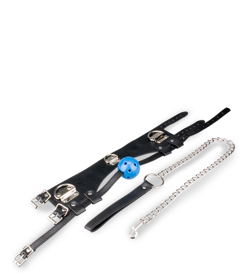 Ball gag and leather collar