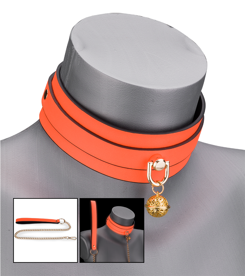 Neon orange collar and lead