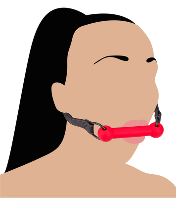 Silicone and faux leather bit gag